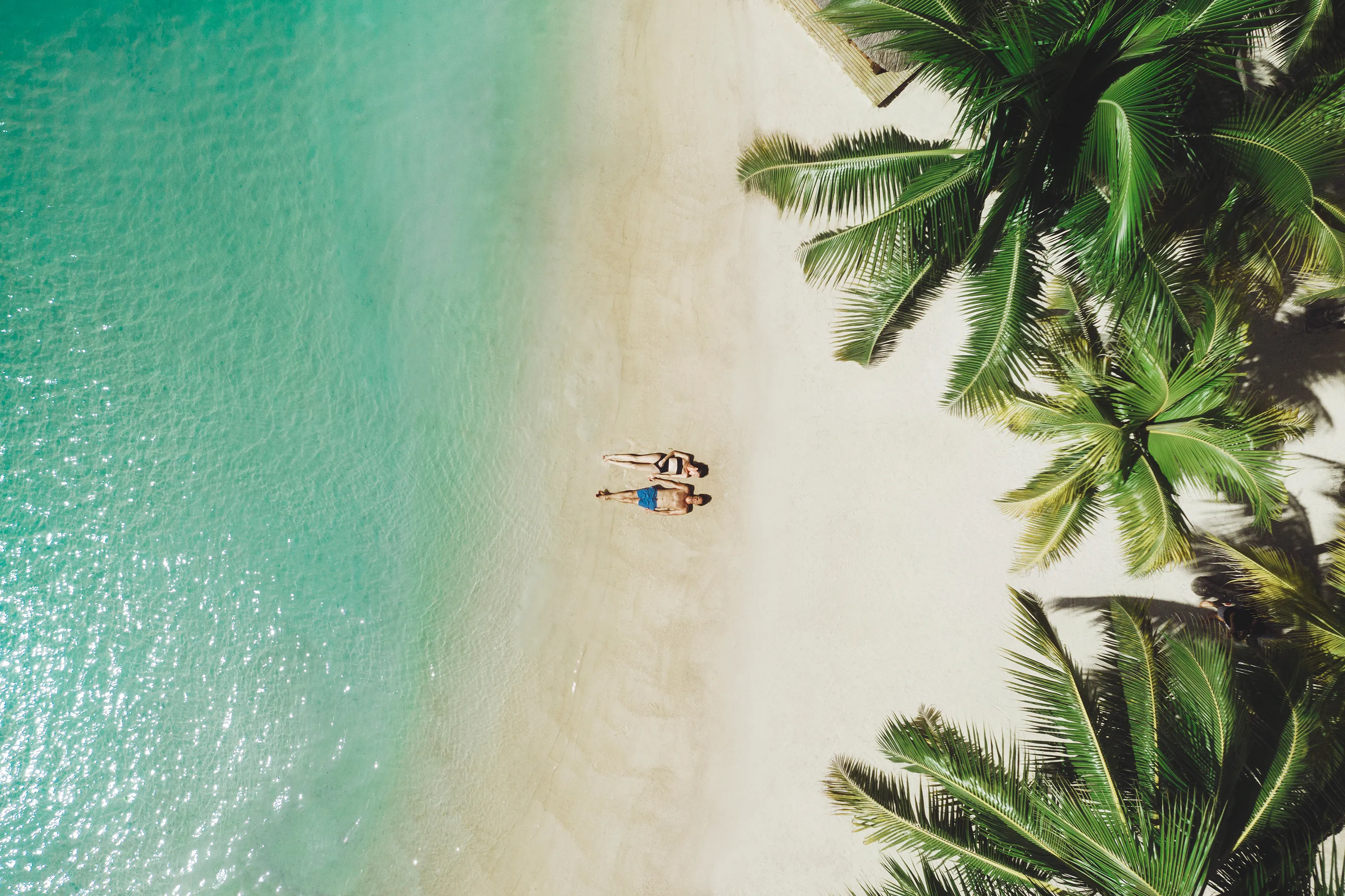 Moment de détente sur une plage paradisiaque au sable blanc, bordée d'une eau cristalline et de cocotiers.