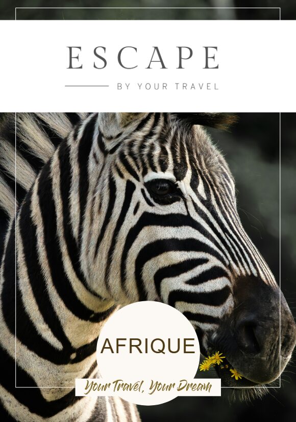 Afrique couverture