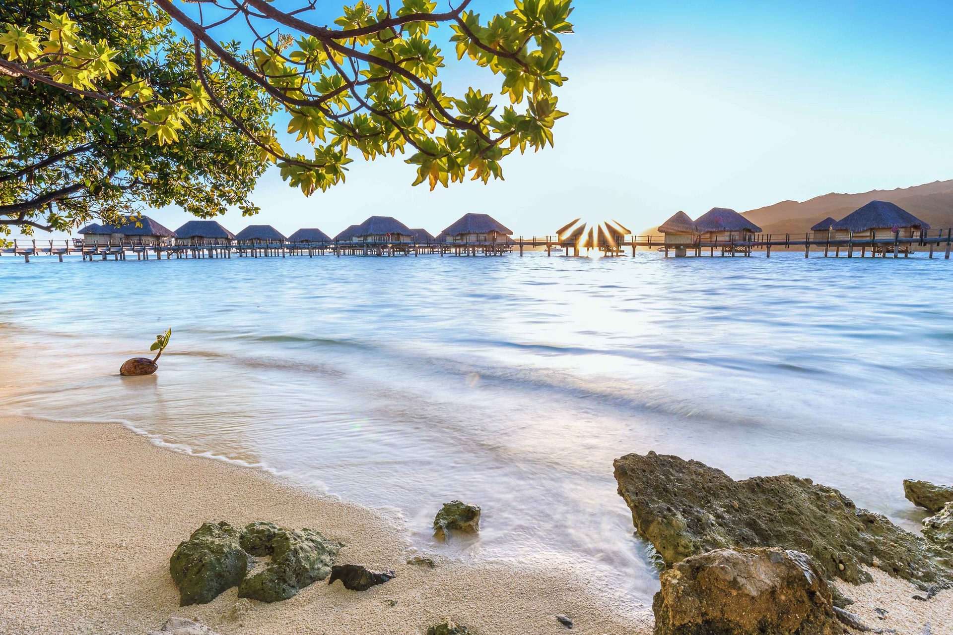 Le Taha’a by Pearl Resorts — photo 3