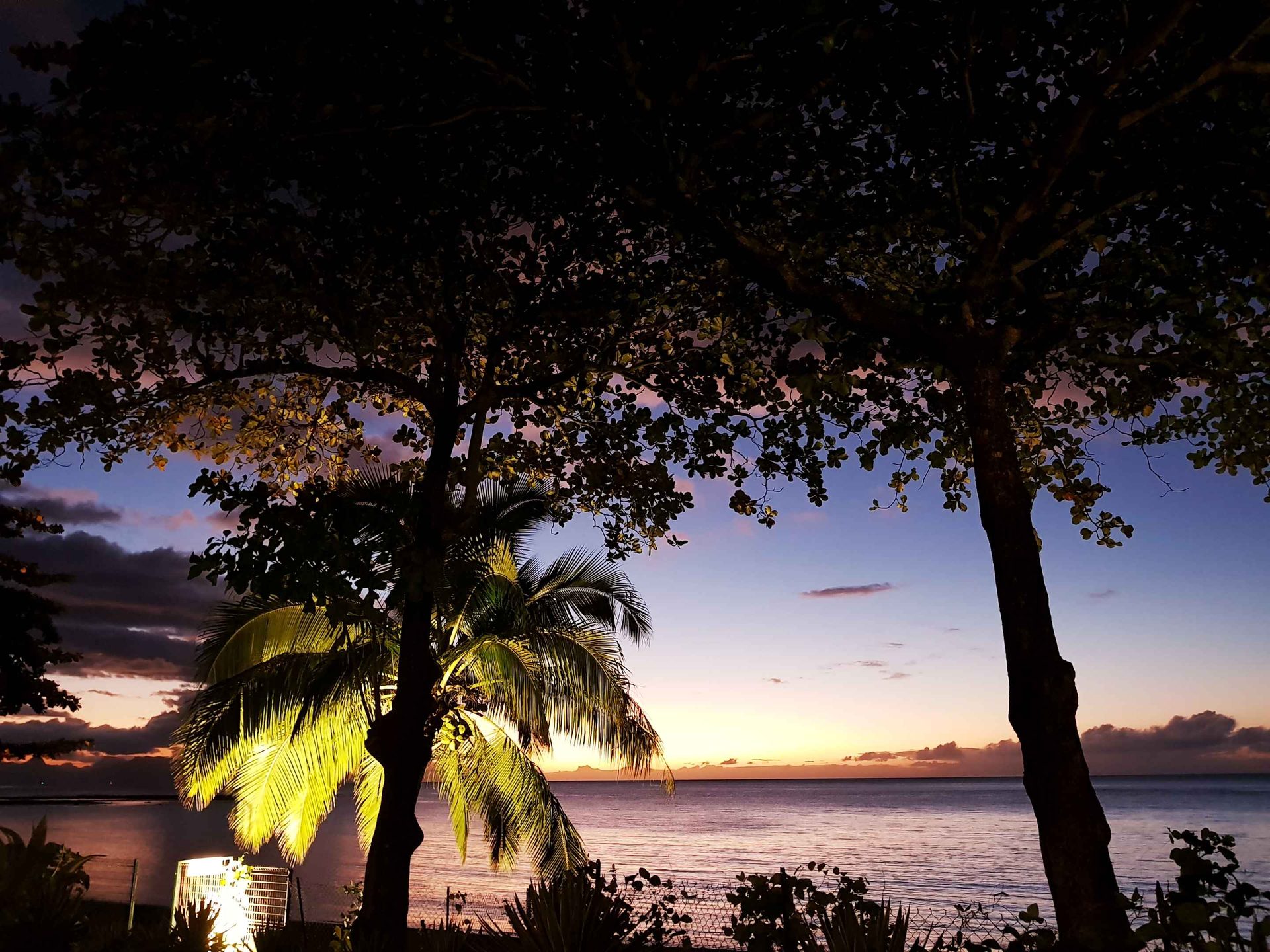 Le Tahiti by Pearl Resorts — photo 4